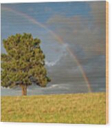 Rainbow Over A Lone Tree Wood Print