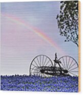 Rainbow Over Texas Bluebonnets Wood Print