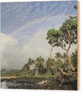 Rainbow Over The Beach Wood Print