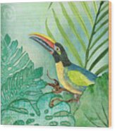Rainforest Tropical - Tropical Toucan W Philodendron Elephant Ear And Palm Leaves Wood Print