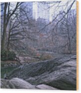 Rainy Day In Central Park Wood Print