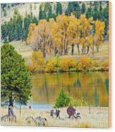 Ranch Pond In Autumn Wood Print