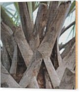 Raw Palm Wood Print