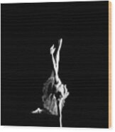 Reaching Ballerina Wood Print