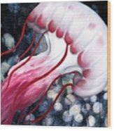 Red And White Jellyfish Wood Print