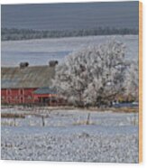 Red Barn In Winter Wood Print