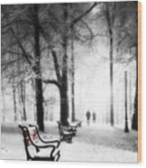 Red Benches In A Park Wood Print