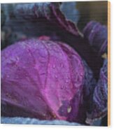 Red Cabbage Wood Print