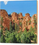 Red Canyon Wood Print