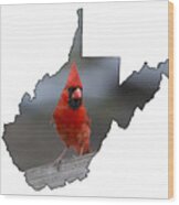 Red Cardinal Looking For Food Wood Print