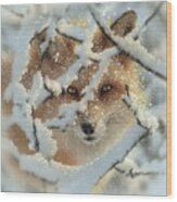 Red Fox - Hide And Seek Wood Print