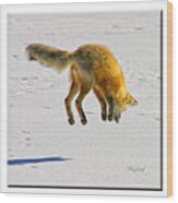 Red Fox Hunting Wood Print