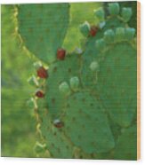 Red Fruit Edged Prickly Pear Wood Print