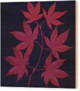 Red Japanese Maple Leaves Wood Print