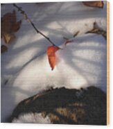 Red Leaf Wood Print