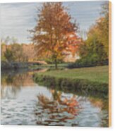 Red Maple Tree Reflection At Sunrise Wood Print