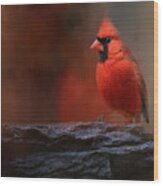 Red On The Rocks - Cardinal Bird Art Wood Print