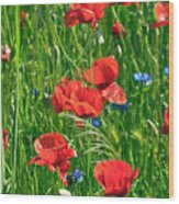 Red Poppies Wood Print