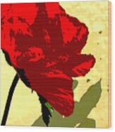 Red Poppy Wood Print