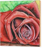 Red Rose Wood Print