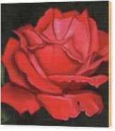 Red Rose Wood Print