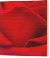 Red Rose Petals Wood Print