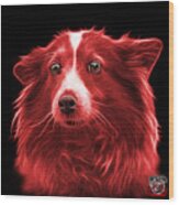 Red Shetland Sheepdog Dog Art 9973 - Bb Wood Print