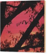 Red Sky Wood Print