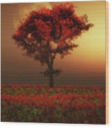 Red Tree In The Evening Wood Print