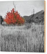 Red Tree In The Valley Wood Print