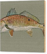 Redfish Watercolor Painting Wood Print