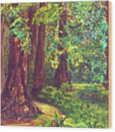 Redwood Grove Wood Print