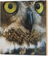 Reelfoot Lake Owls Wood Print