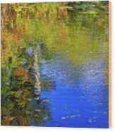 Reflections In A Pond Wood Print