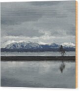 Reflections In Lake Yellowstone Wood Print