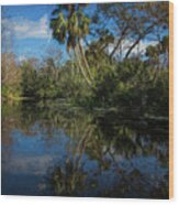 Reflections In The Tropics Oil Painting Wood Print