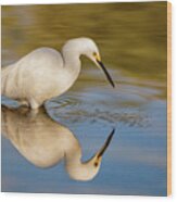 Reflections Of A Snowy Egret Wood Print