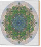 Reflections Of Life Mandala Wood Print