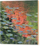Reflections On A Lily Pond Wood Print