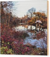 Reflections On A Winter Day - Central Park Wood Print