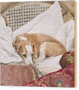 Regal Beagle Wood Print