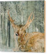 Reindeer In The Forest Wood Print