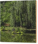 Relax By Pond Wood Print