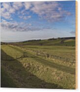 Remnants Of Hadrians Wall Wood Print