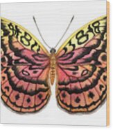 Resplendent Forester Butterfly Wood Print