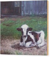 Resting Calf Wood Print