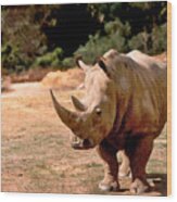 Rhino Wood Print