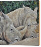 Rhinos Wood Print