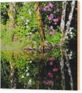 Rhododendron Reflection Wood Print