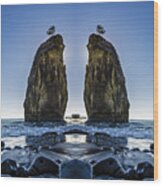 Rialto Beach Sea Stack Reflection Wood Print